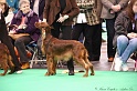 Crufts2011 268